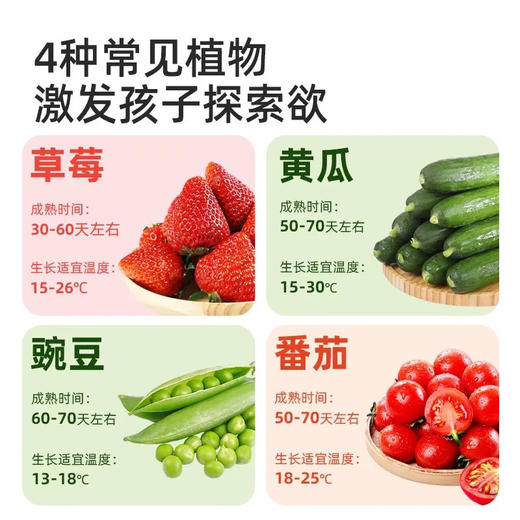 mideer弥鹿MD2246万物生长-攀爬吨吨桶 商品图5