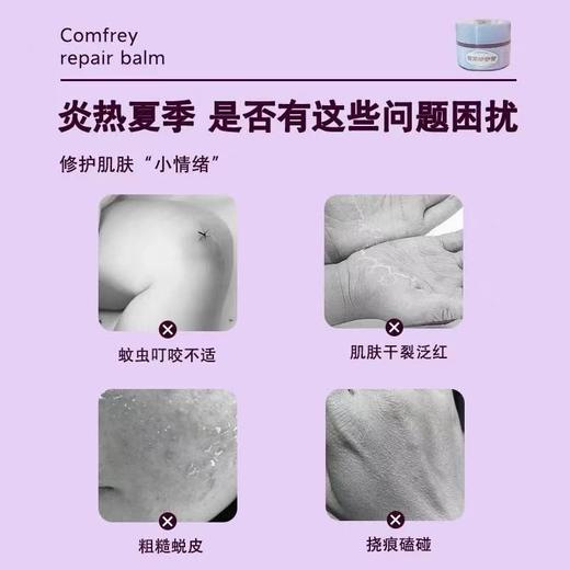 北京同仁堂   紫草修护膏（15g） 商品图3