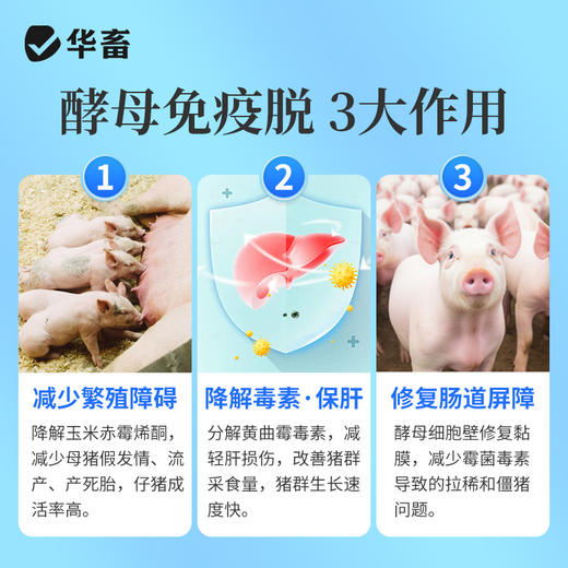 华畜 酵母免疫脱2斤 拒绝吸附三重脱霉更彻底 商品图8