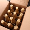 凤城老窖 东烧锅 50度浓香型东北高粱酒 500ml 商品缩略图1