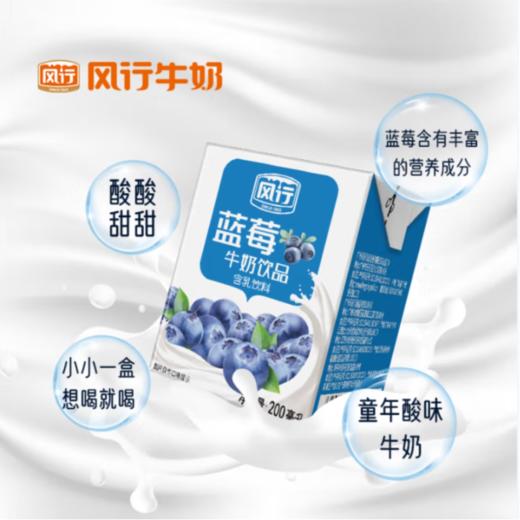 风行蓝莓牛奶饮品200ml*12盒/箱 商品图1