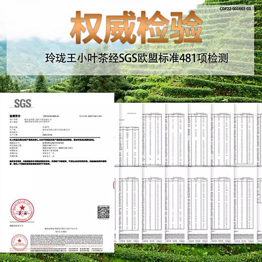 2025年春茶/玲珑王明前毛尖100g/罐 商品图5