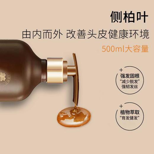 【头发的“救星”来了！】🌱持证防脱✔生姜+侧柏叶精粹💧蓬松密发不掉发，500ml大容量超值入手！聚容植物密发防脱洗发 水侧柏叶改善脱发  滋润发根生姜洗发水 商品图2