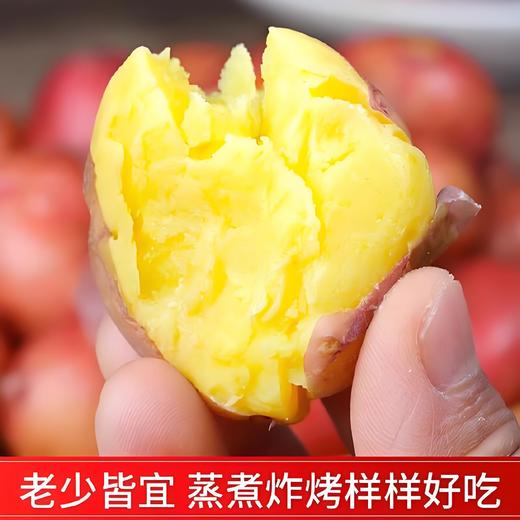 鲜如初见系列【花花币可换购】-HPTD 商品图1