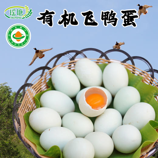 有机认证绿头水  鸭蛋 商品图3