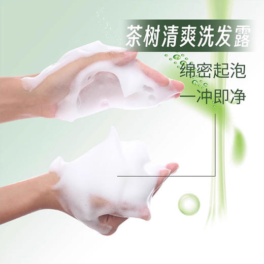 美国进口天然之扉茶树清爽洗发露532ml 商品图4