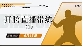 【6月13日】开胯直播带练（1）