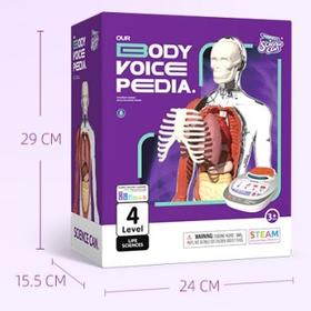 科学罐头 160022我们的身体语言百科