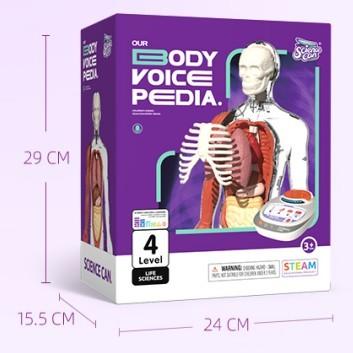 科学罐头 160022我们的身体语言百科 商品图0