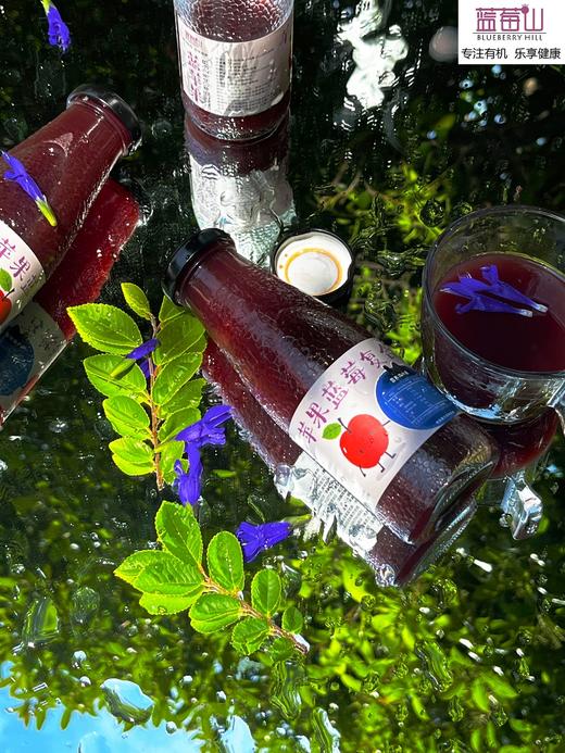 蓝苹果汁（有机蓝莓+有机苹果）纯果汁  天然果香 酸甜清爽 商品图3