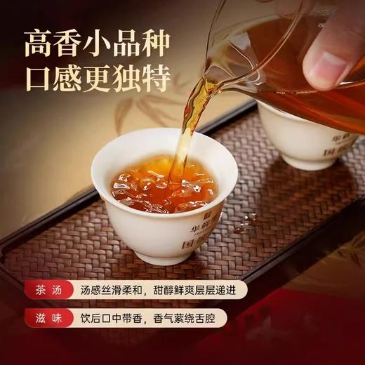 华祥苑 星时光 特级 肉桂 花果香 武夷岩茶 茶叶 盒装 商品图3