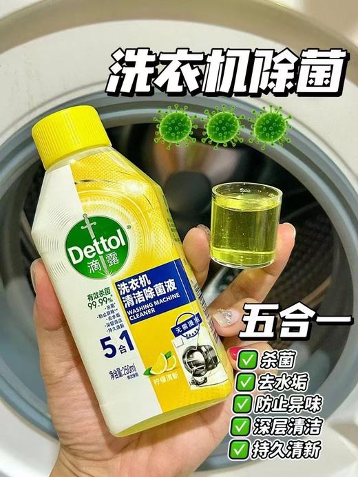 滴露洗衣机清洁除菌液柠檬清新 250ml 商品图0