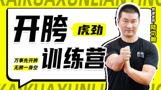 开胯（虎劲）训练营（15天教学） 商品图0
