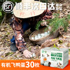 有机认证绿头水  鸭蛋 商品缩略图4