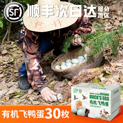 有机认证绿头水  鸭蛋 商品图4