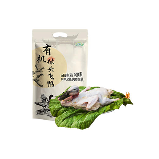 有机认证    瑶塘 绿头水鸭 肉质细嫩 商品图4