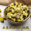菊花茶胎菊白菊杭白菊花茶正品天然干花新花茶泡水喝 商品缩略图4