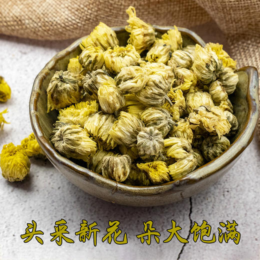 菊花茶胎菊白菊杭白菊花茶正品天然干花新花茶泡水喝 商品图4