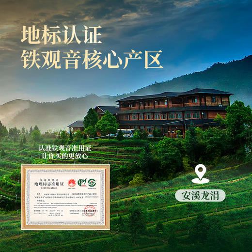 华祥苑 星时光 特级 安溪铁观音 清香型 浓香型 铁观音组合 茶叶 礼盒 商品图4