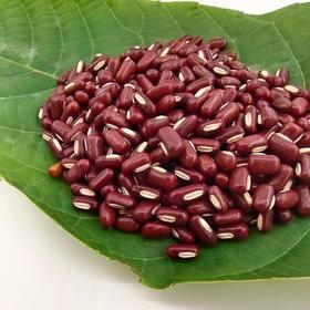 云上古川 云南墨江赤小豆 500g*3袋  高原山地种植，不打药、不漂白、不掺杂