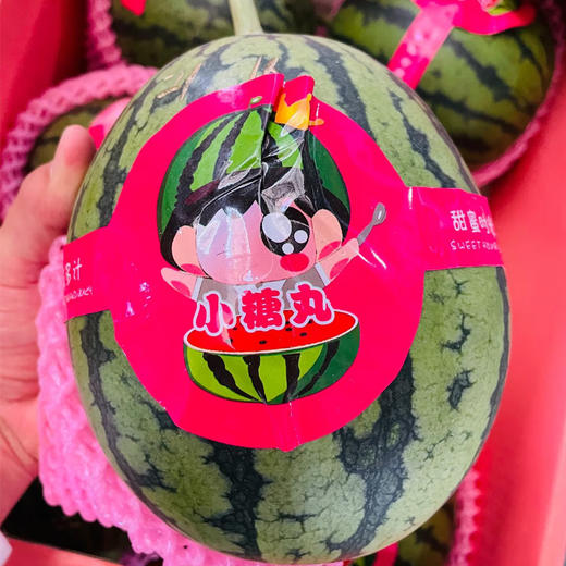 小糖丸西瓜约1.4kg/个（皮薄汁多，沙脆爽口） 商品图0