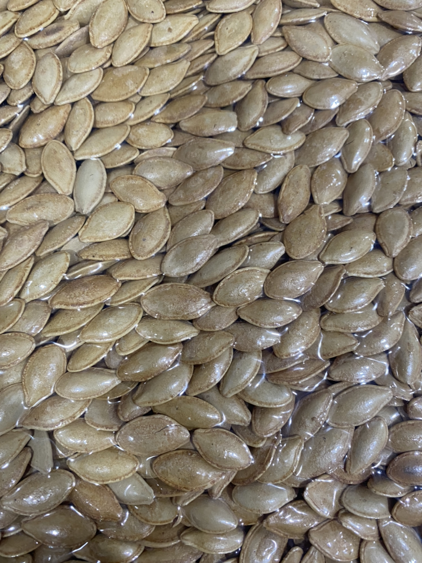 盐焗南瓜子9.8元/袋250g  次日到