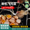 有机飞鸡蛋 商品缩略图0