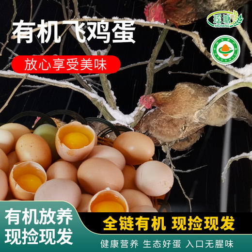 有机飞鸡蛋 商品图0