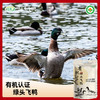 有机认证    瑶塘 绿头水鸭 肉质细嫩 商品缩略图3