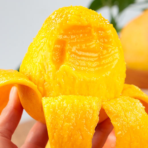 【云南元江苹果芒 】新鲜上市  需催熟 奶香软糯 皮薄核小 肉厚多汁 果子圆润饱满 色泽鲜艳 味美香甜 多种规格任选 商品图0