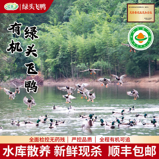 有机认证    瑶塘 绿头水鸭 肉质细嫩 商品图0