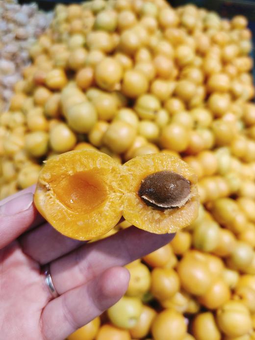 新疆油杏2斤 商品图3