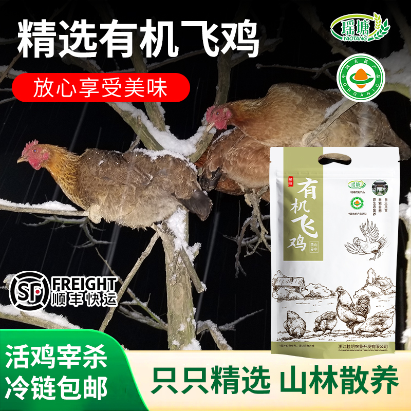 浙江省龙游县  有机飞鸡