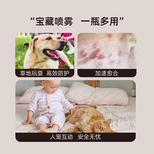【康福筘喷雾】宠物+环境居家专用，物理驱虫，免洗清洁除臭抑菌，体外驱虫+灭螨止痒，破损皮肤可用 经口无毒AA 商品图2