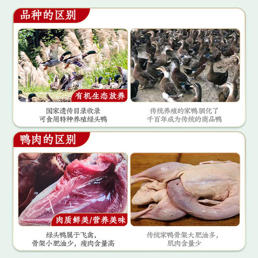 有机认证    瑶塘 绿头水鸭 肉质细嫩 商品图2