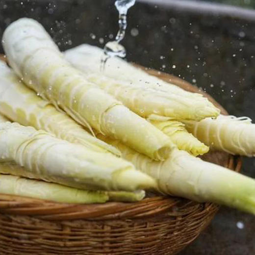 【干货精选】临安天目山·笋干 舌尖上的美味 天目山笋干 鲜味十足 做法多样 含多种丰富膳食纤维 商品图1