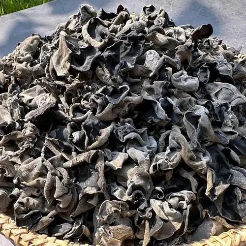 东北一级黑木耳干9.9元1袋100g,明天到