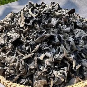 东北一级黑木耳干9.9元1袋100g,明天到