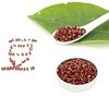 高原山地种植 | 云上古川云南墨江赤小豆/赤红小豆 粗粮杂粮食材 500g*3袋 商品缩略图5