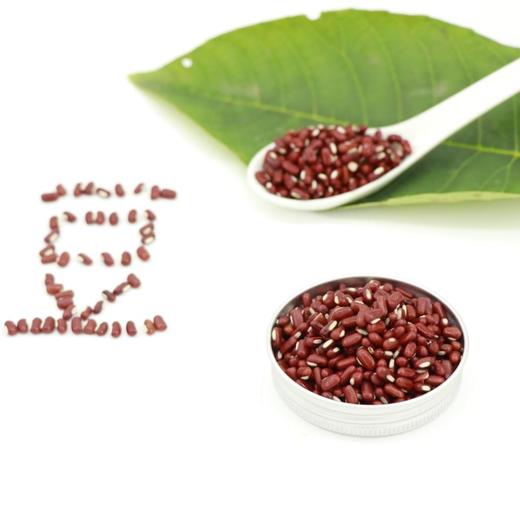 高原山地种植 | 云上古川云南墨江赤小豆/赤红小豆 粗粮杂粮食材 500g*3袋 商品图5