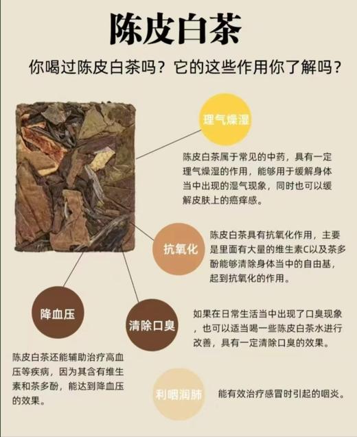 拾月陈皮——陈皮白茶 商品图3