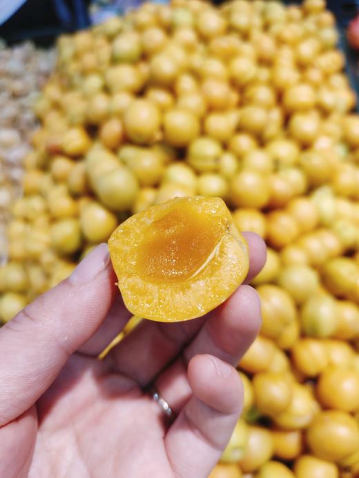 新疆油杏2斤 商品图2