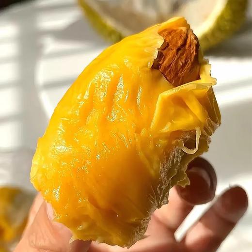 马来西亚黑刺榴莲D200 双A鲜果包5房 商品图1