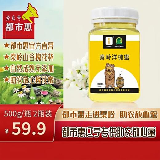 热销【自营】都市惠定制 秦岭野生洋槐蜜 助农成熟放心槐花蜜 商品图0