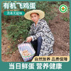 有机飞鸡蛋 商品缩略图1