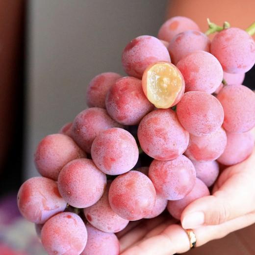 【大理•妮娜皇后葡萄】 顺丰空运到家 颜值诱人 香甜多汁 花香的清新 果香的鲜甜 奶香的醇蜜 酒香的层次 多种规格任选 商品图8