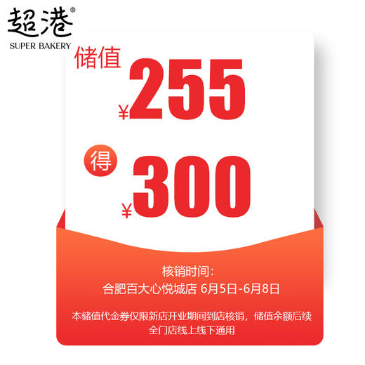 255代300储值代金券 商品图0