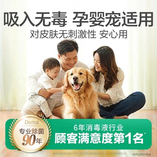 【滴露消毒喷雾】英国皇室御用99.999%杀菌率 马桶快递消毒杀菌 鞋袜除臭AA 商品图3