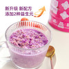 精力沛山药紫薯小麦胚芽燕麦片728g/罐 益生元菌高纤即食冲泡早餐代餐 商品缩略图2