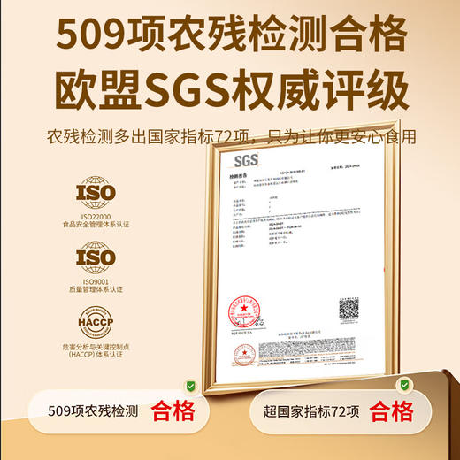 福东海 铁棍山药粉500克 怀淮山药食养即冲代餐粉 送礼长辈营养品 商品图5